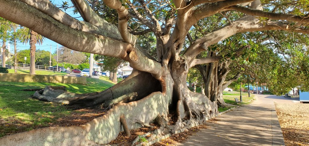 Grounding mindfulness exercises.